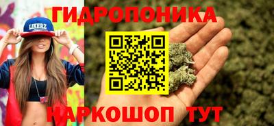ALPHA PVP Малгобек